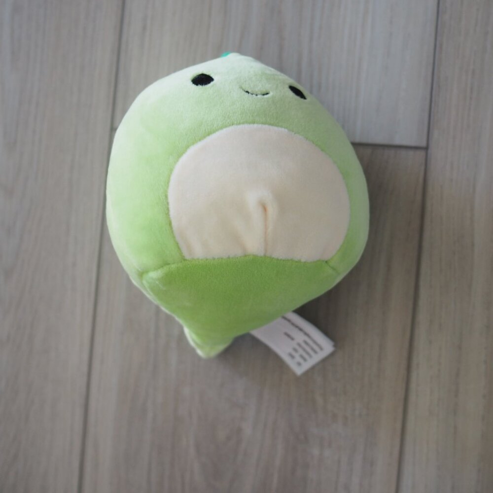 Squishmallow Danny The Green Dinosaur Small Plush Animal - Picture 5 of 9